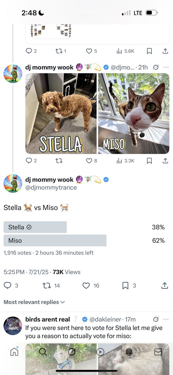 cigarettequeeen's tweet image. thank u to everyone who voted for stella
somehow 600 votes magically appeared for miso in less than 20 minutes when the amount of views only increased by 10k. stella will always be a winner in my book ❤️
