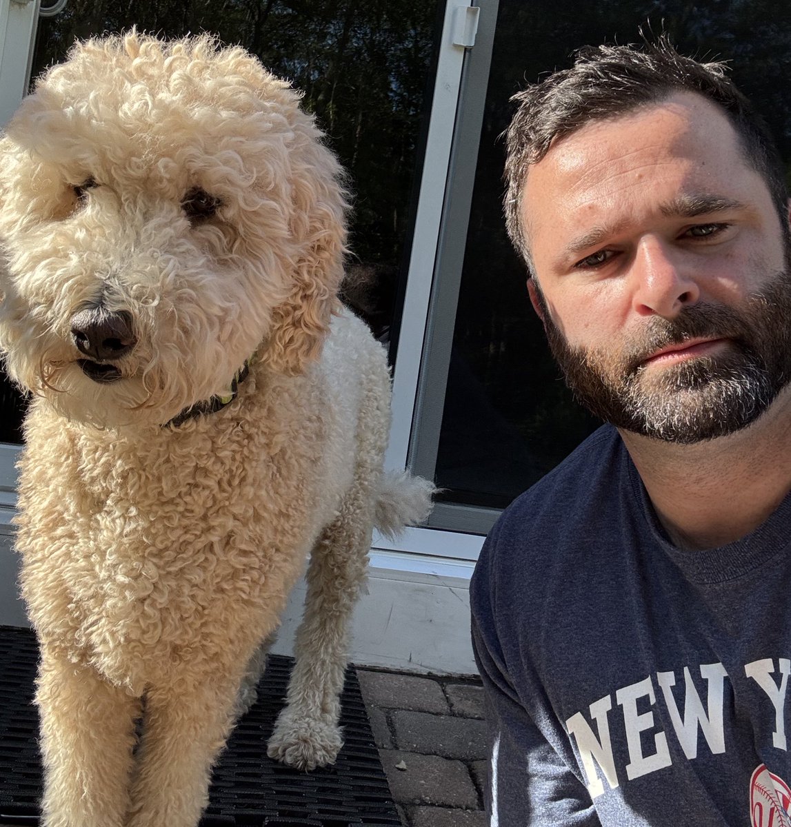 HammerSeed21's tweet image. #Bitcoin makes your life as simple as a dogs.