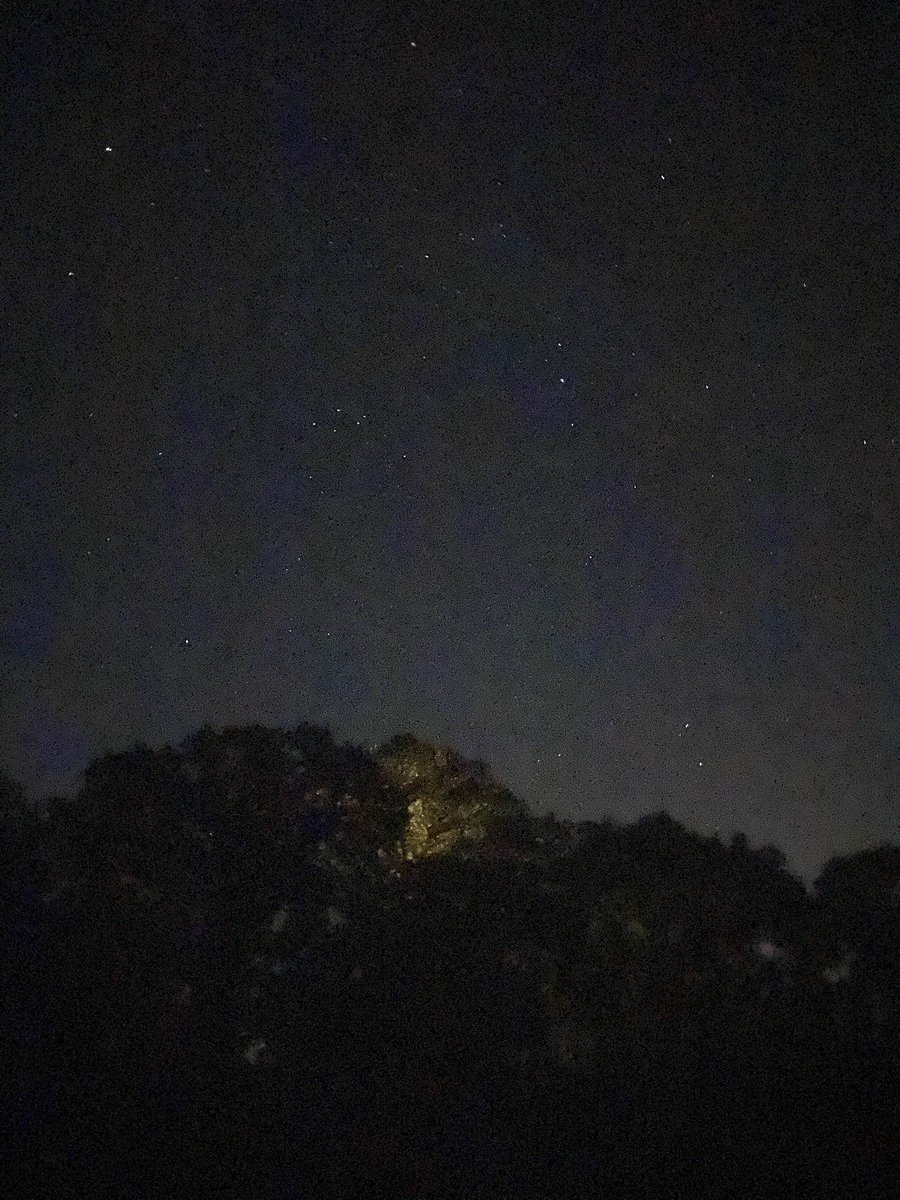 A sky like this is a proper smack in the chops innit. Puts one in one’s place somewhat. Orion’s Belt, blue supergiant, Milky Way meandering across, a lonesome shooter briefly lighting the darkness, gone all too quickly. Here’s to Ozzy. #ozzyosbourne