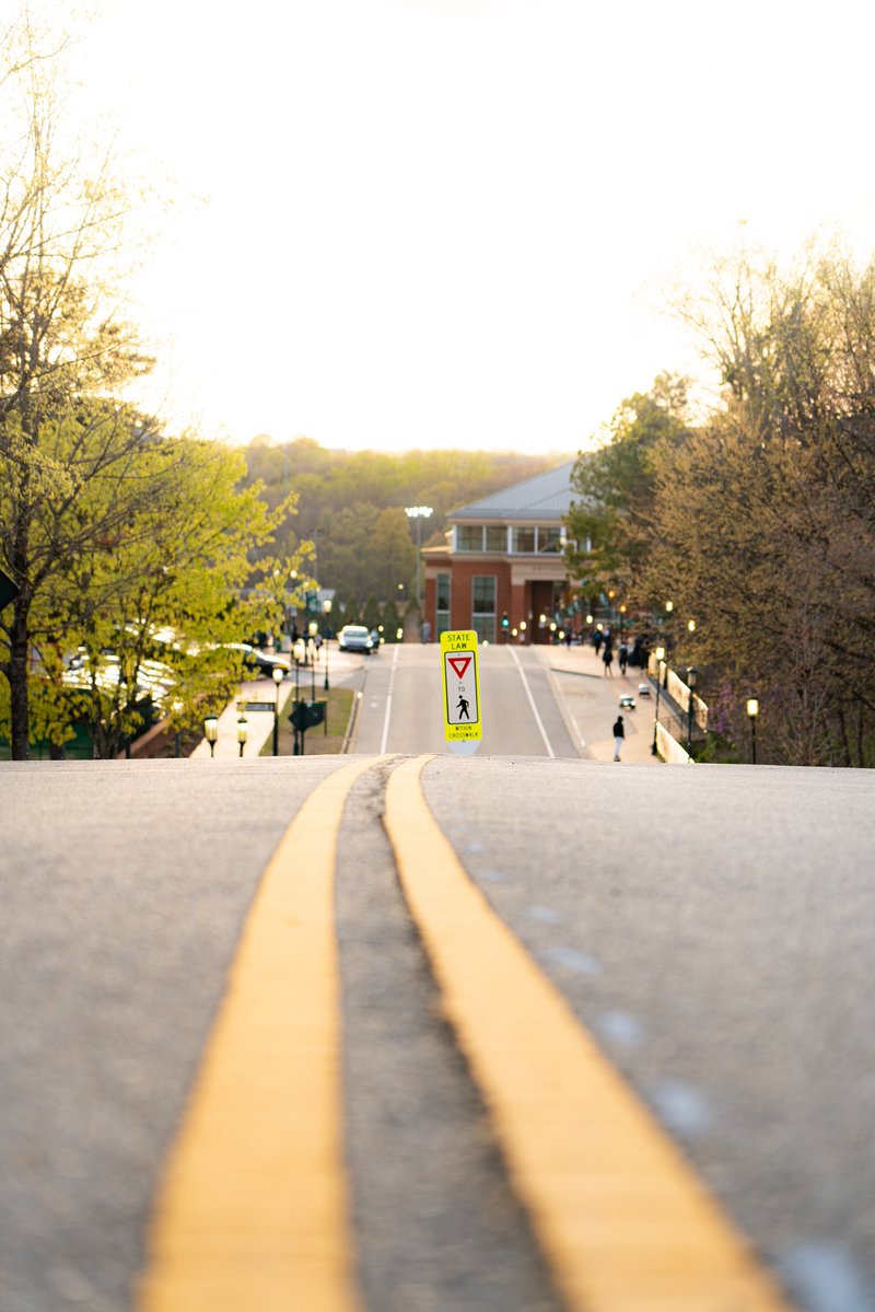 49erAlumni's tweet image. Niner Gold is not just a part of @unccharlotte's colors, it shines across our campus too โ๏ธ ๐ค