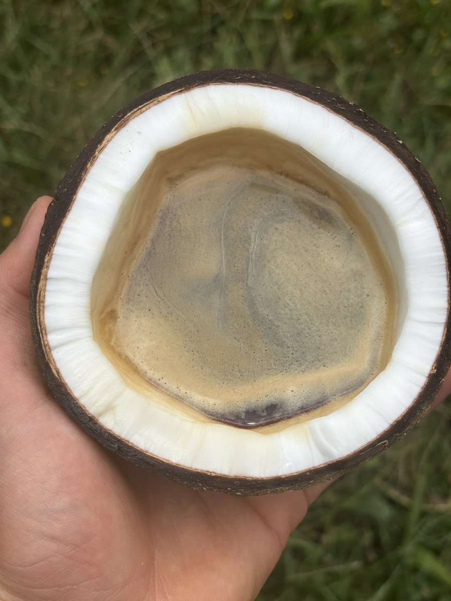 lijoscha tweet media