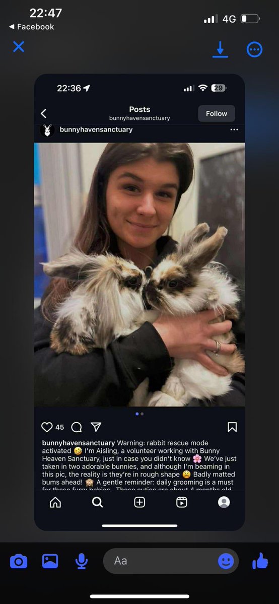 carrotcottagerr's tweet image. Can we get this page shit down? Comment all over it!! And report, they are using our pics, other rescues pics and fraudulently raising money
instagram.com/bunnyhavensanc…