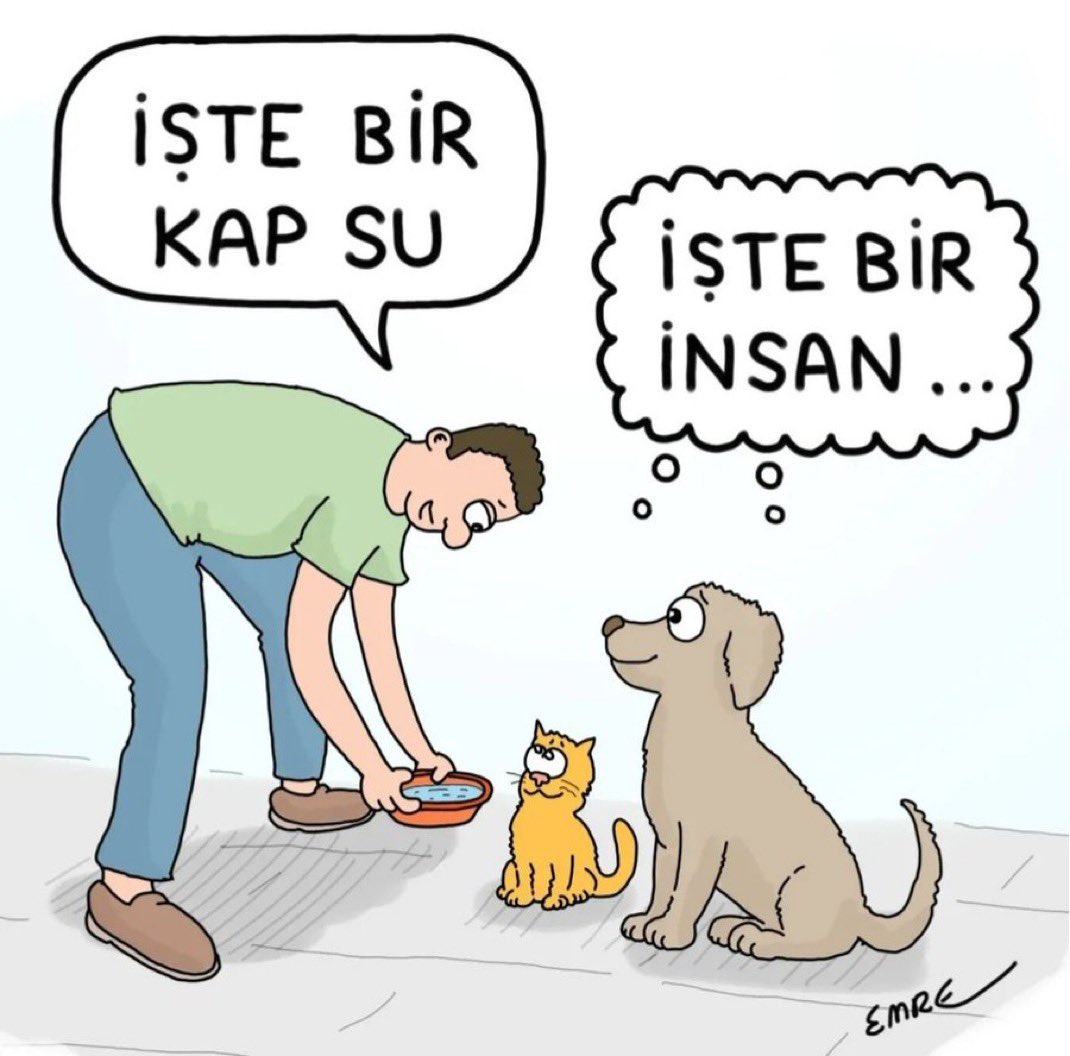 İnsan Olmak Kolay Aslında
#birkapsu 
#BirKapSuBirKapMama