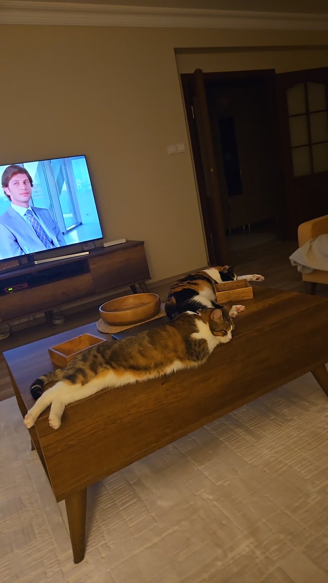 efehuca's tweet image. Limom abbayna otuvmaç
