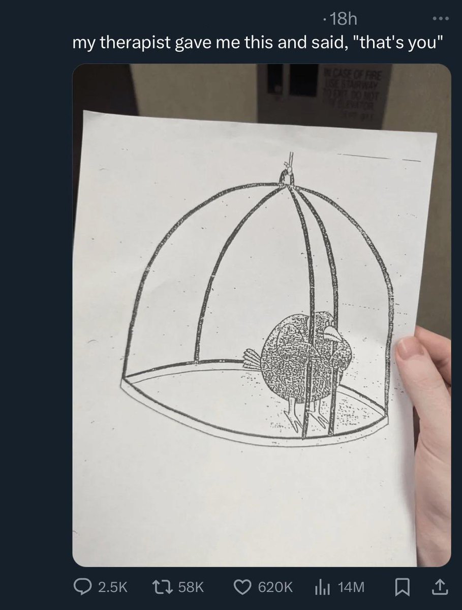 mikeyyyzhao's tweet image. 