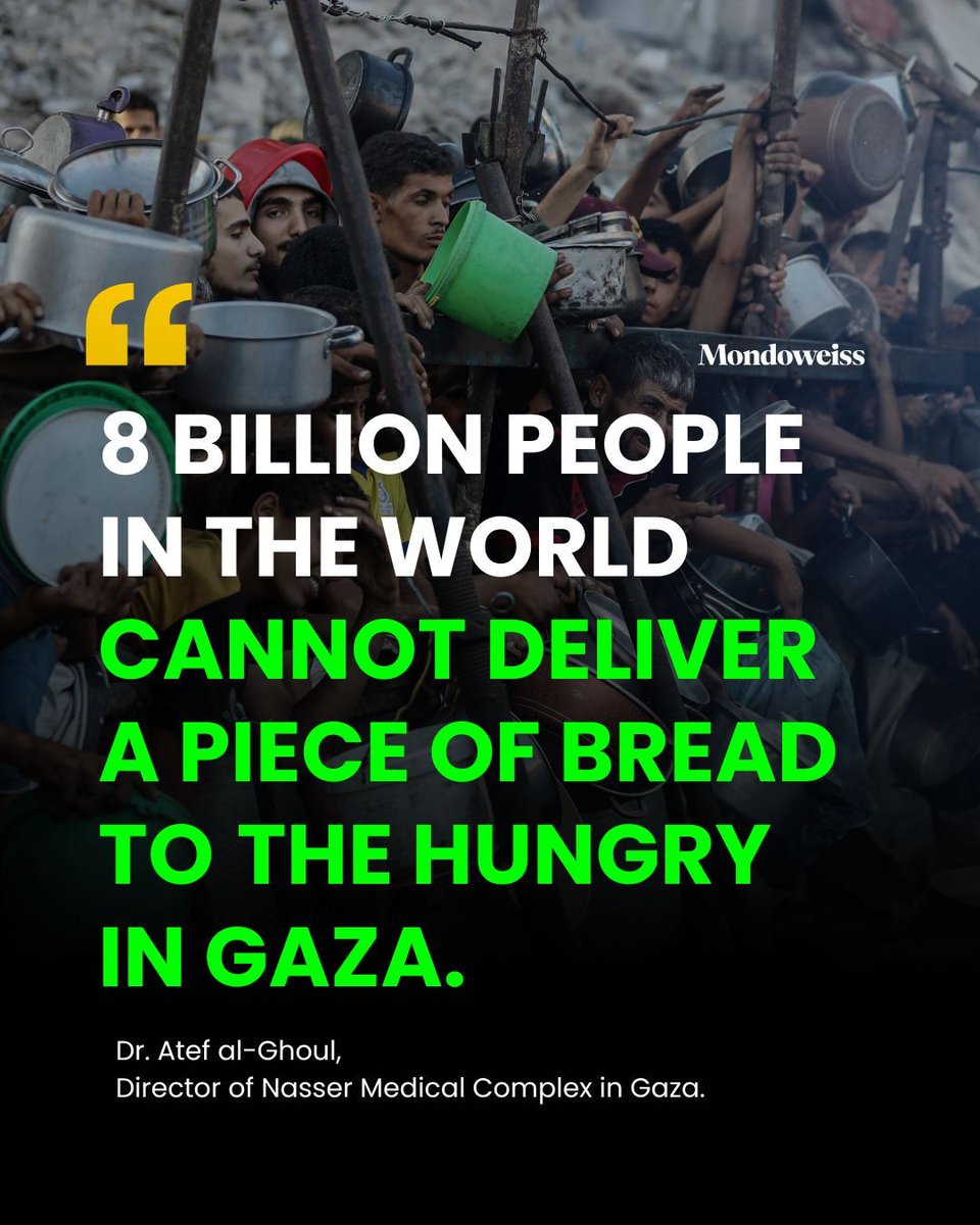 Mondoweiss's tweet image. Starving children in Gaza are hitting a “point of no return” as Israel’s genocide turns hunger into a silent massacre—76 kids dead from malnutrition, infants fading before our eyes. Read our urgent report. mondoweiss.net/2025/07/when-t…