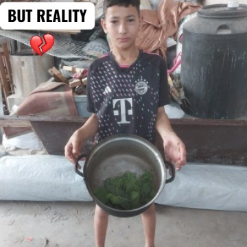 raneem__gaza's tweet image. Your donations help me & my family provide food
gofund.me/b2dd4219
MY WISH🥹👇 BUT REALITY😢👇