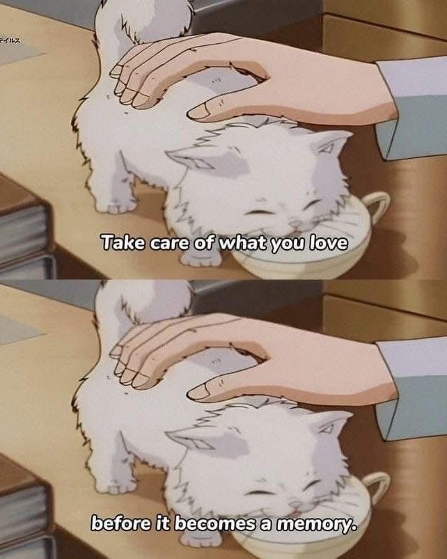 90’s anime (@90spiictures) on Twitter photo 