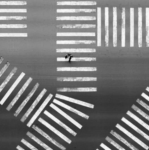 literlandweb1's tweet image. "Siempre se puede escoger. Uno escoge siempre. Aunque no quiera. Vivir es escoger".
Max Aub
📷Alexey Menschikov