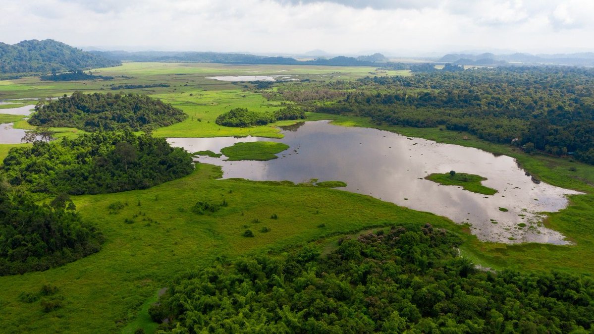 UNDPClimate's tweet image. “When people benefit from the forest, they become active protectors of it.”
This @theGEF @UNDPVietNam project knows that to protect the elephants that wander the vast Dong Nai Biosphere Reserve, solutions must work #ForPeopleForPlanet.
go.undp.org/wZp