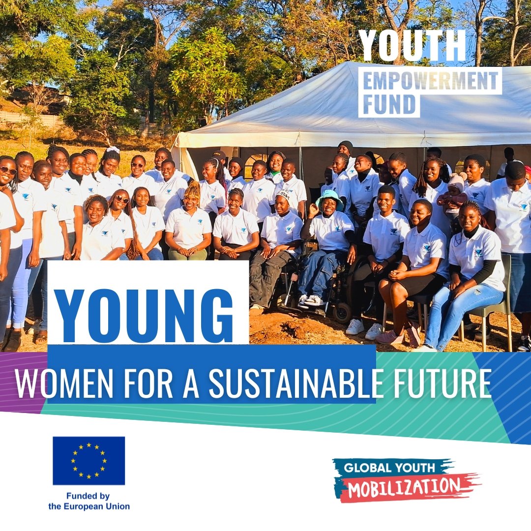 YWCA Council of Zimbabwe tweet media