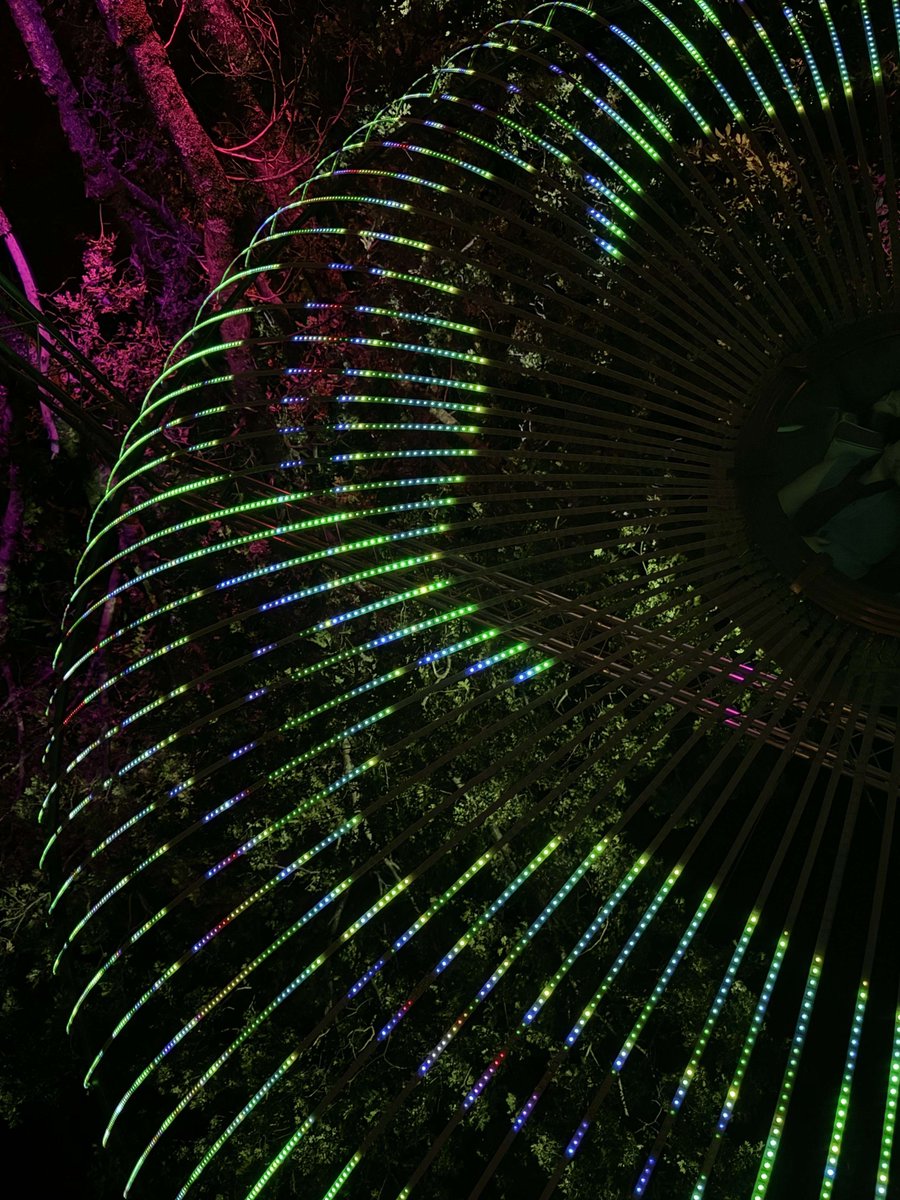 The many, many things you see
When you party, party play with me