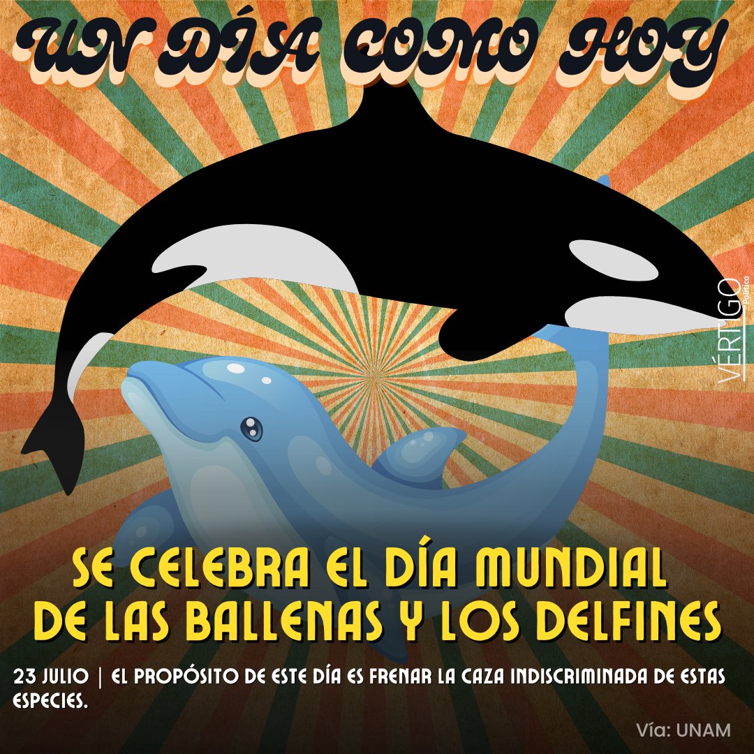 VertigoPolitico's tweet image. #Undíacomohoy se conmemora el Día Mundial de las Ballenas y delfines | Visita #VértigoPolítico #VertigoPolitico