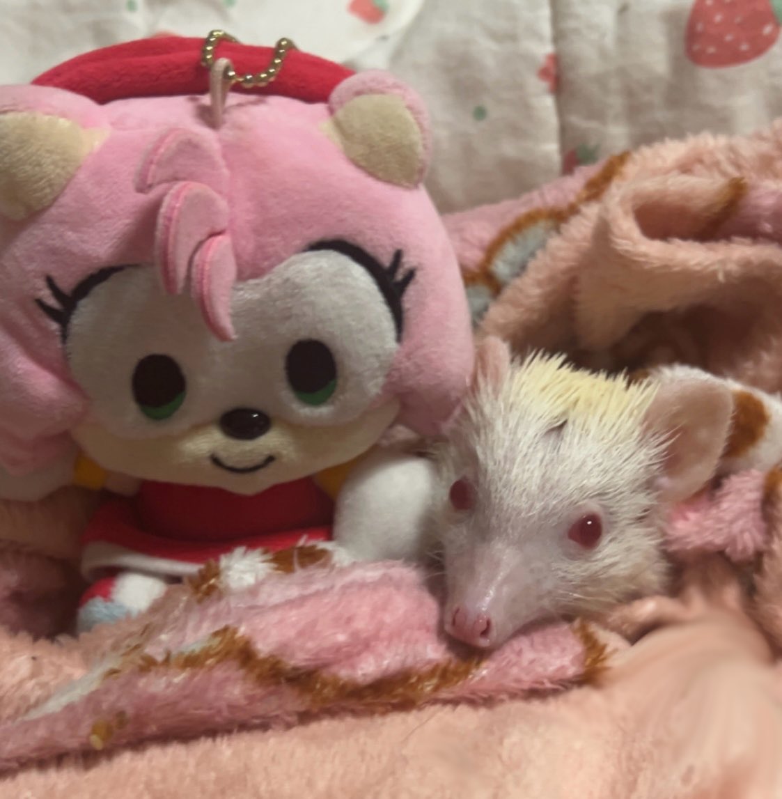 emzberry's tweet image. Been a โ:(โ kind of day
But my hedgehog makes me โ:)โ
