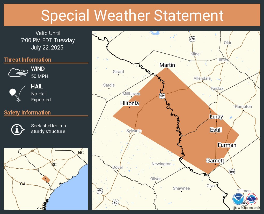 NWSCharlestonSC's tweet image. A special weather statement has been issued for Estill SC, Hiltonia GA and Furman SC until 7:00 PM EDT