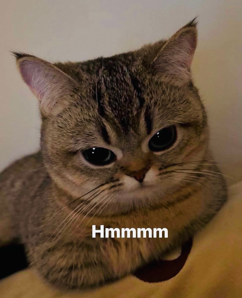 MaximLeverage's tweet image. chatgpt larping it has to think about simple code for 15 minutes and then not automatically delivering it after the larp period
im going to build a punching bag attached to chatgpt (with the help of chatgpt) and smack it while telling it to stop thinking and start delivering as…