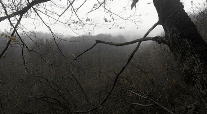 ᅠᅠᅠ 
        it   do̷esn't   matter   𝒘𝙝𝙤*   you   are,    ㅤೕ
      𓈒  🪵࣭ິං   it  𝑜꯭nly   matters   what   ﹫ you  do.
ᅠᅠᅠ