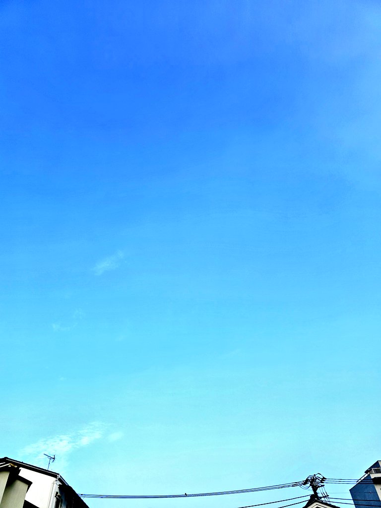 ToDoShiki_03's tweet image. ☀おはようございます♪
本日も頑張って生きましょうっ☆
おやすみなさい(*_ _)zzZ
すっごい水色の空✨
そんな暑くないし、ありがたや〜( *´꒳`* )