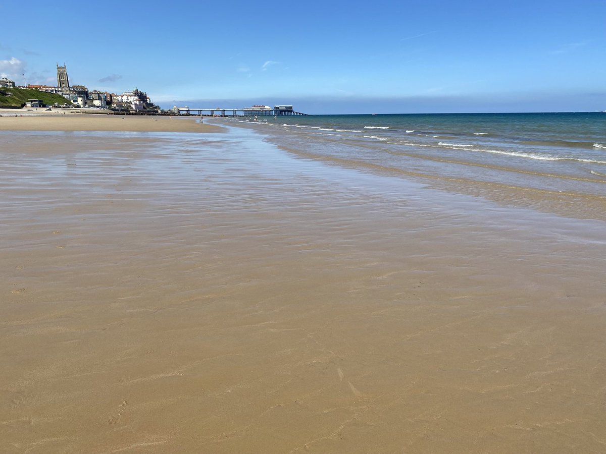 ThatOneSycamore's tweet image. To Overstrand