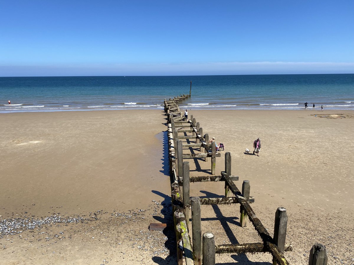 ThatOneSycamore's tweet image. To Overstrand