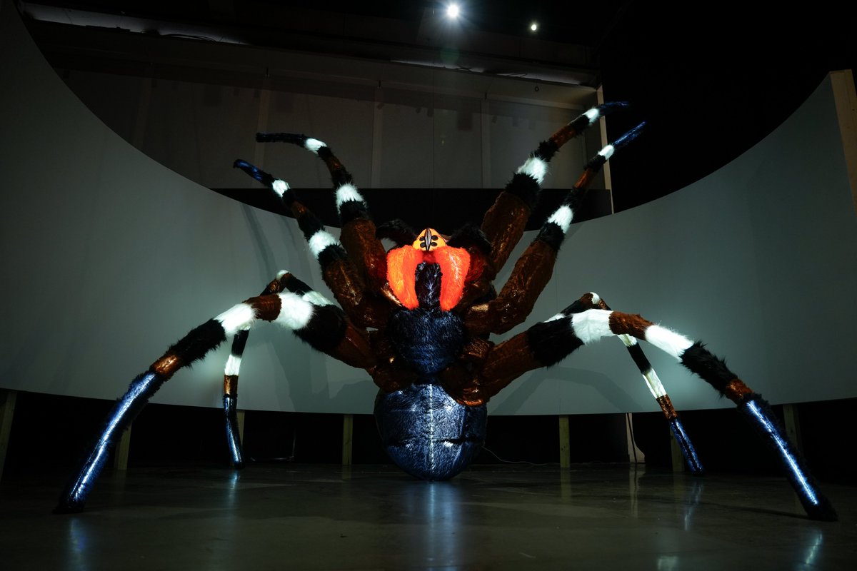 Uniandes's tweet image. 🕷️¡Aquí los que aman a los ponzoñosos y venenosos! 🙋🏻‍♂
De lo temido a lo fascinante: &apos;Venenosos y ponzoñosos&apos; es una exposición que invita a mirar con otros ojos 👀 a los organismos que solemos temer:  

- 🦂 Un escorpión que lanza veneno a 30 centímetros.
- 🐛 Una oruga cuyas…