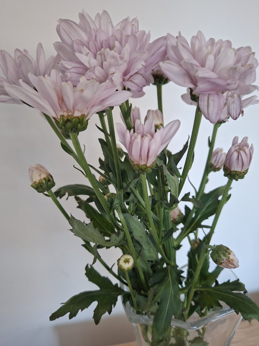 Өглөөний мэнд, өнөөдрийн ажил үйлст нь амжилт хүсье.