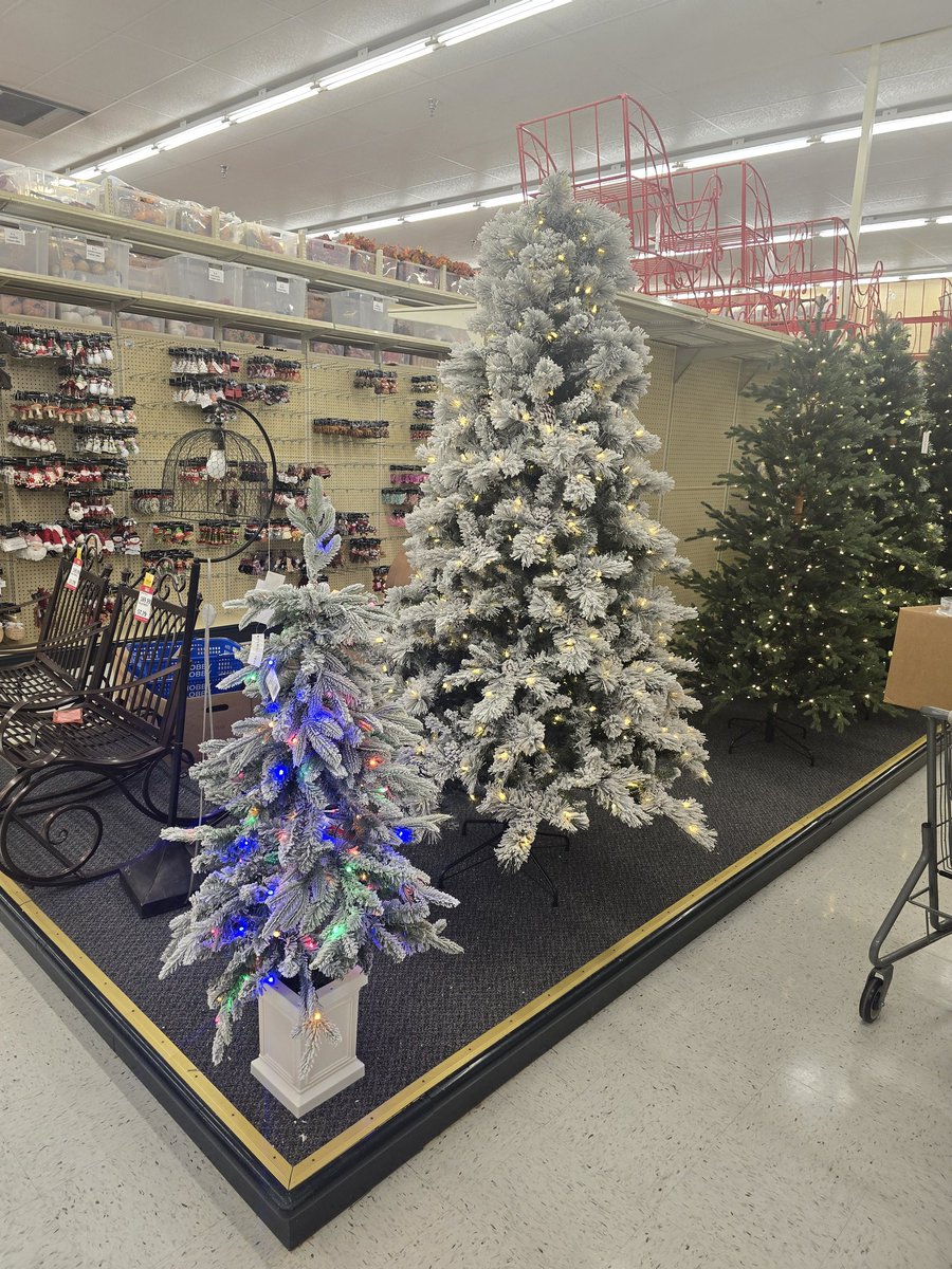 Vince Langman tweet media