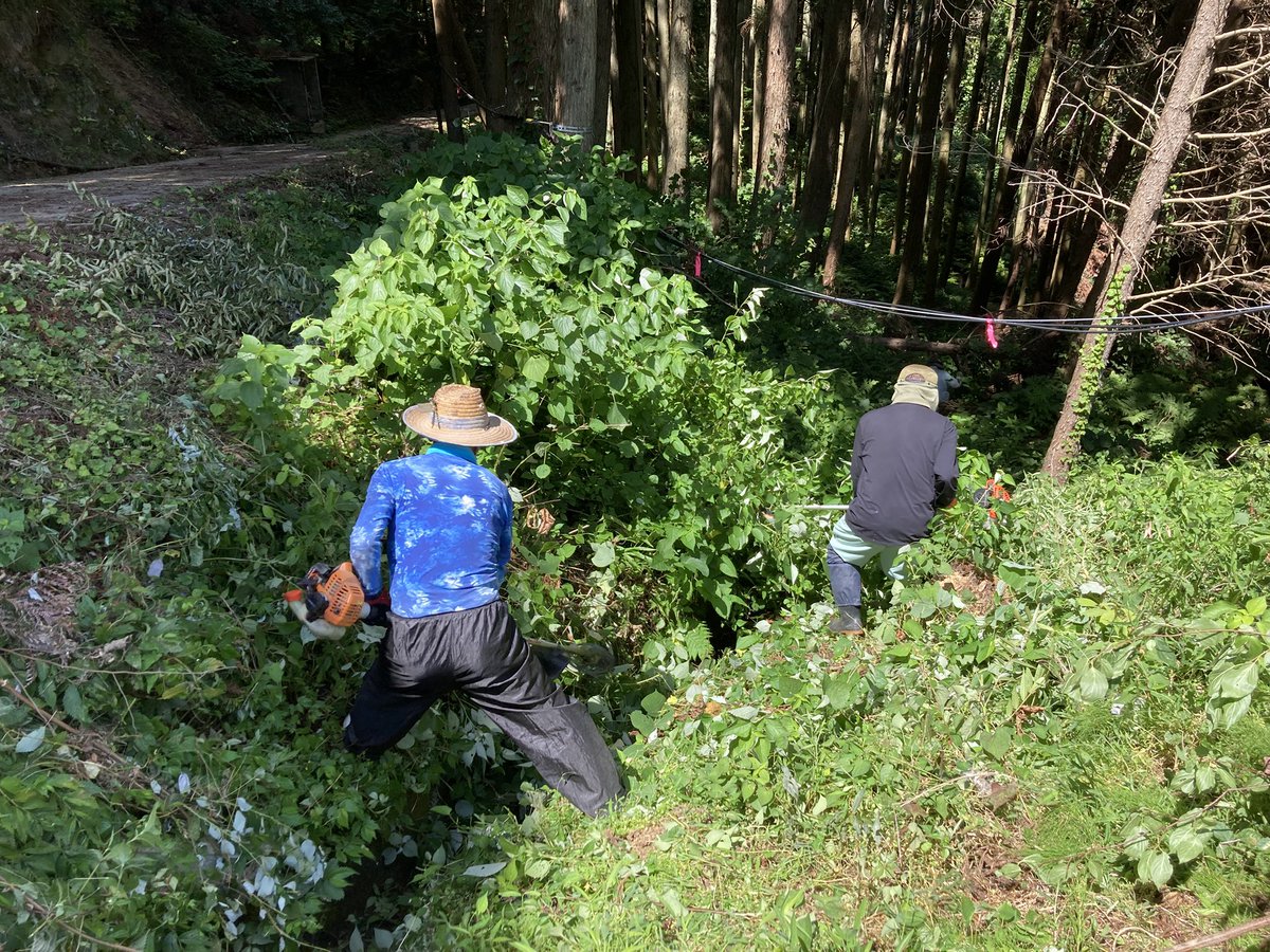 noto_senmaida's tweet image. 2025.07.21
引き続き用水の草刈りをしました。どこに用水があるか分からないほど、草で荒れています😅
#令和6年能登半島地震 #能登 #輪島 #白米千枚田 #愛耕会 #能登豪雨 #草刈り