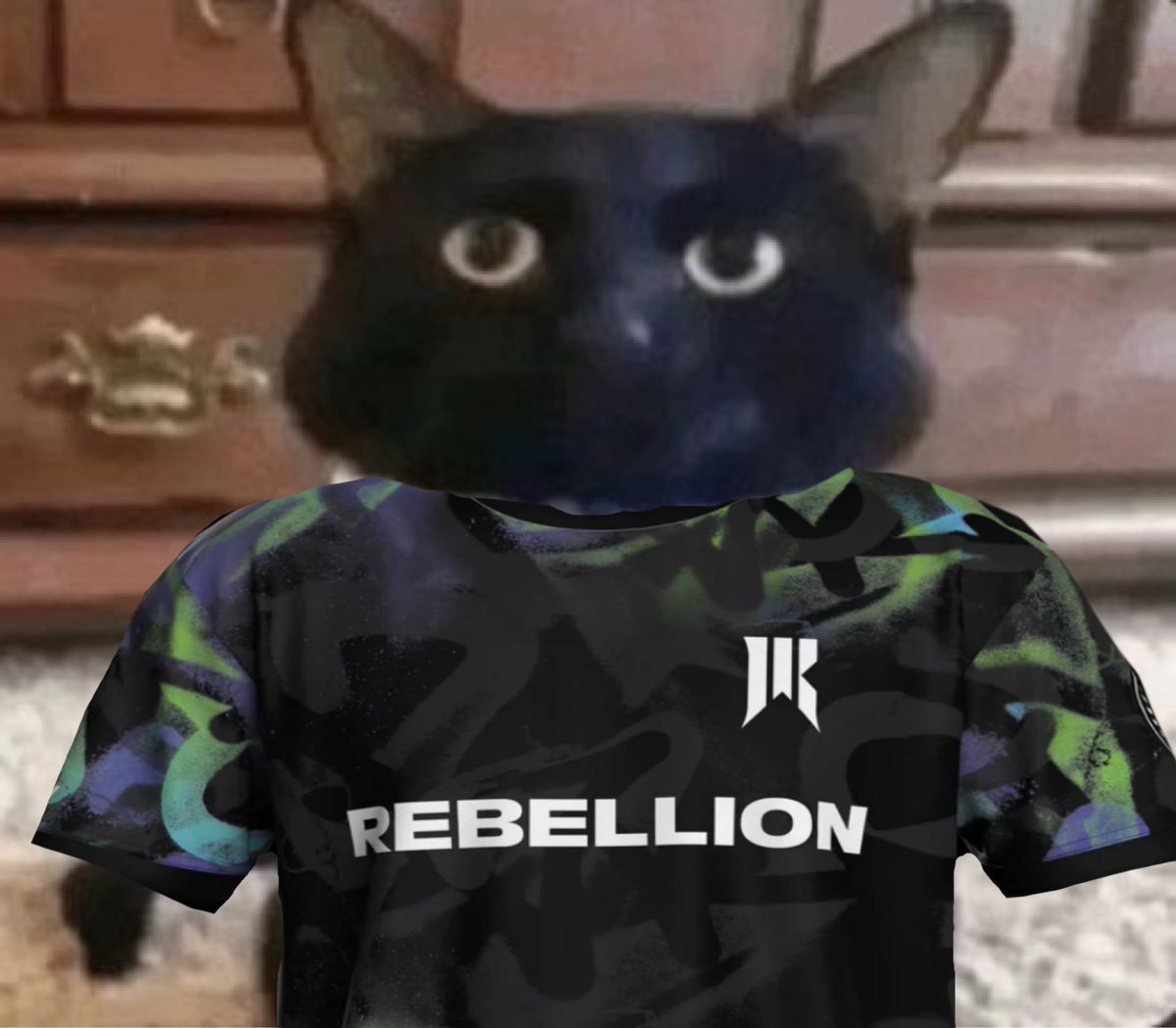 SR meL (@melanji) on Twitter photo GGWP we lose 0-2 <a href="/Nightblood_gg/">Nightblood Gaming</a>
much love to everyone on that team, they’re insane. rly fun match all things considered, lots to learn and apply for next week’s game 🫡
i promise y’all we’ll keep improving from here GGWP we lose 0-2 <a href="/Nightblood_gg/">Nightblood Gaming</a>
much love to everyone on that team, they’re insane. rly fun match all things considered, lots to learn and apply for next week’s game 🫡
i promise y’all we’ll keep improving from here