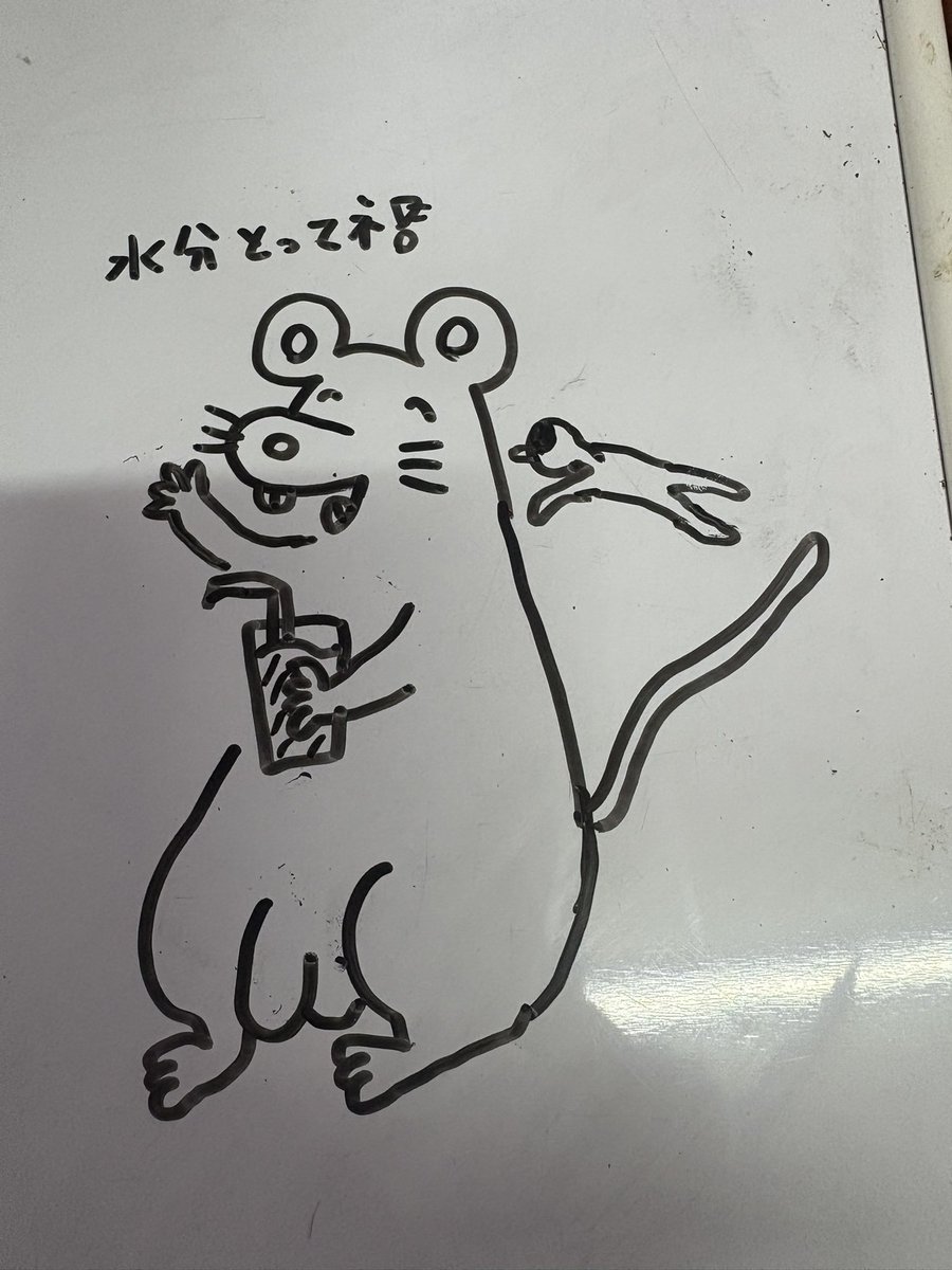 pippy_chang's tweet image. 🍹🐀