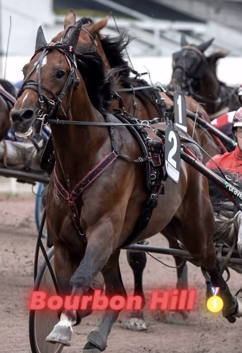 Srf Stable (@srfstable) on Twitter photo Fin kväll för oss med dubbla segrar i USA för Kate <a href="/StableSvanstedt/">✨SVANSTEDT STABLE✨</a> men även Vic Zelenskyy som vinner på Red Mile för Dexter Dunn <a href="/MarcusMMelander/">Marcus M Melander</a>
Även en häst ut hemma i Sverige. Treårige Bourbon Hill (Face Time Bourbon-Absurd) tränad av <a href="/UntersteinerJ/">Johan Untersteiner</a> och körd av Gustav Fin kväll för oss med dubbla segrar i USA för Kate <a href="/StableSvanstedt/">✨SVANSTEDT STABLE✨</a> men även Vic Zelenskyy som vinner på Red Mile för Dexter Dunn <a href="/MarcusMMelander/">Marcus M Melander</a>
Även en häst ut hemma i Sverige. Treårige Bourbon Hill (Face Time Bourbon-Absurd) tränad av <a href="/UntersteinerJ/">Johan Untersteiner</a> och körd av Gustav