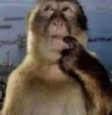 fivelitresoda's tweet image. #notbad