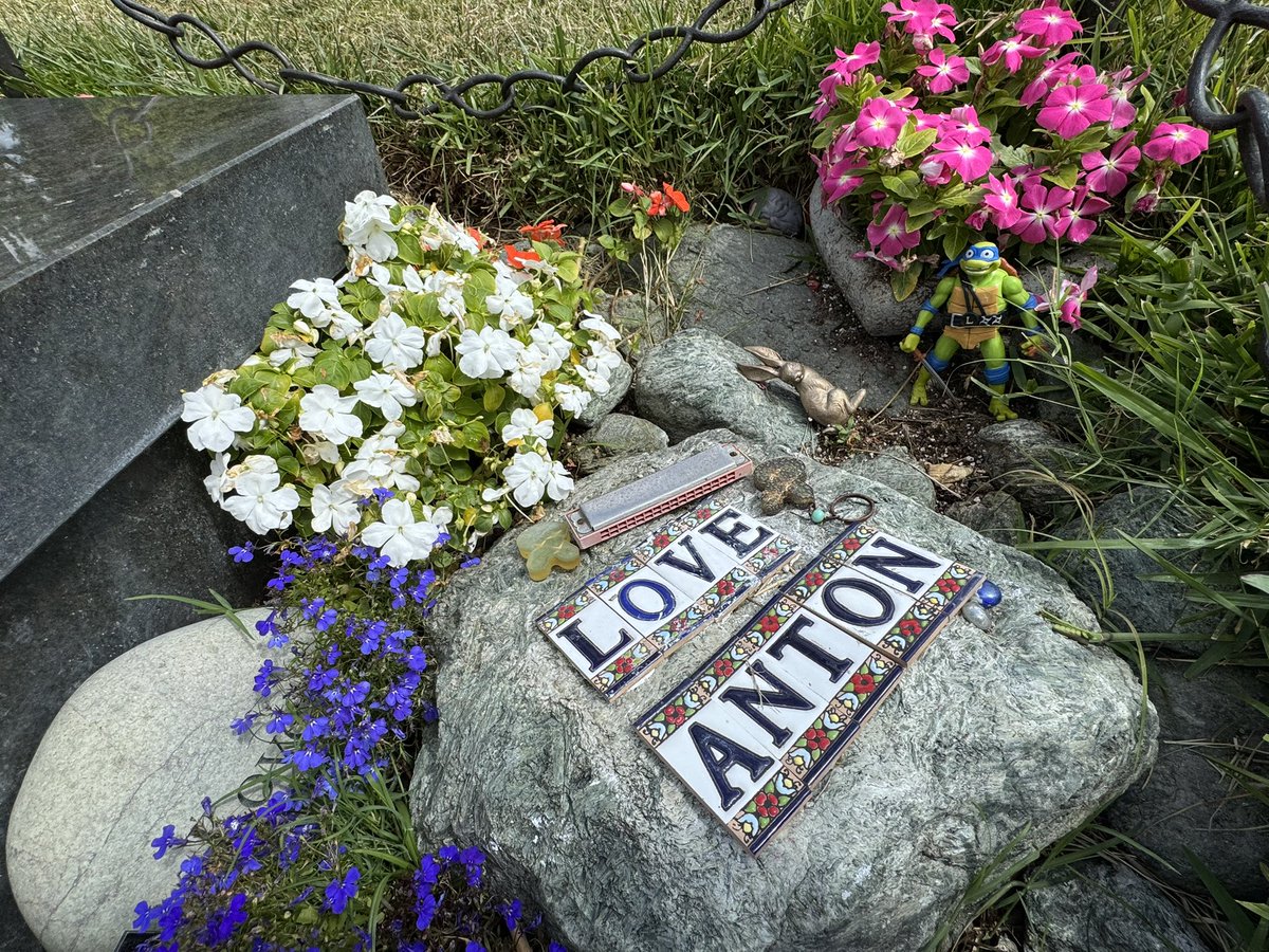 CBCCPodcast's tweet image. At Anton Yelchin's gravesite in Hollywood Forever Cemetery, someone has placed a Leonardo TMNT action figure.