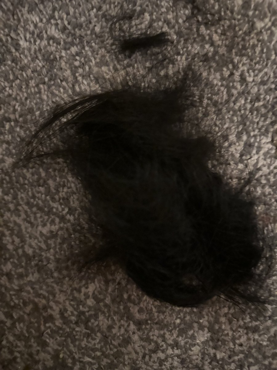 womanpleaser78's tweet image. Had an episode tried to break my foot and then cut like all my hair off so now I'm stuck with the most fucking horrific bob to ever exist whatever bruh I haven't even tried to fix it yet I'm just sat in horror