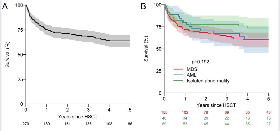 emmamgroarke's tweet image. Recent article from @TheEBMT led by Pedro Prata @Haematologica looks at #HCT after clonal evolution in #SAA. Overall 5 year survival 64% in a young population. Ongoing need to develop optimal surveillance/intervention to decrease this complication haematologica.org/article/view/1…