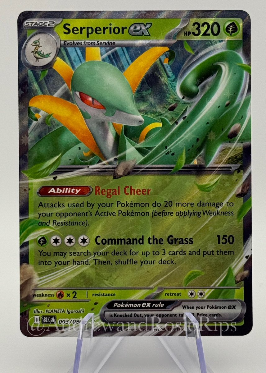 Andrewdeeeeee's tweet image. Our Hits from today!! Loving this #Dwebble! #Pokemon #RosieRips