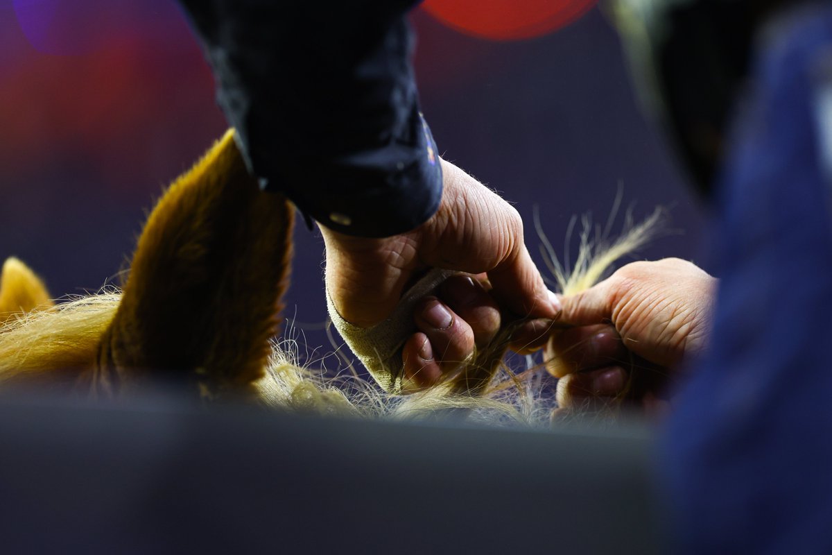 RODEOHOUSTON's tweet image. Boots, hats and all that 🤠