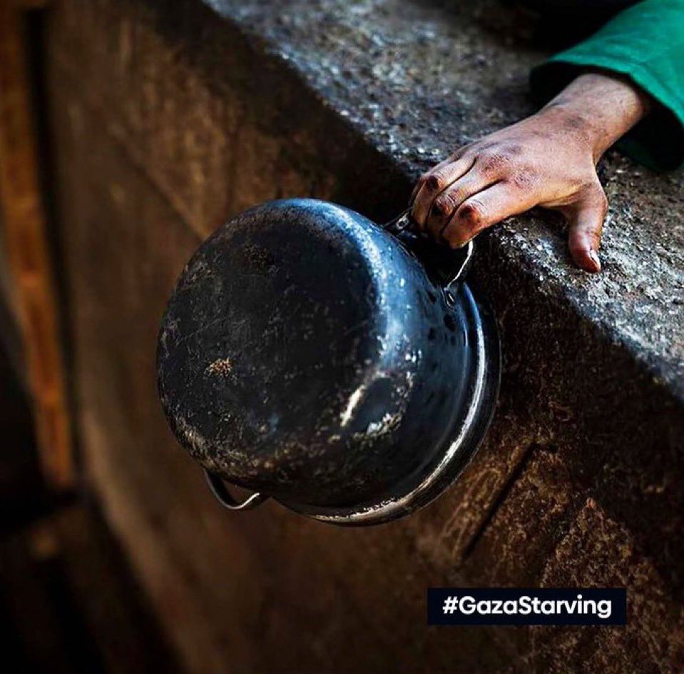 #GazaStarving #StopGazaGenocideNOW #FreePalestine
