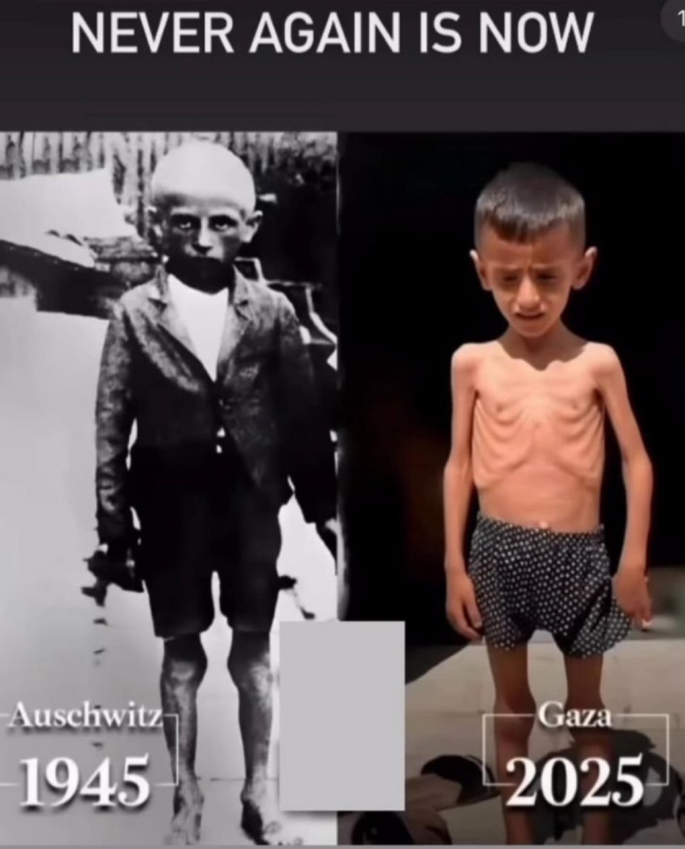 jewishvoicelive's tweet image. Zionists are deliberately committing genocide in Gaza.
Gaza is our modern day Auschwitz!