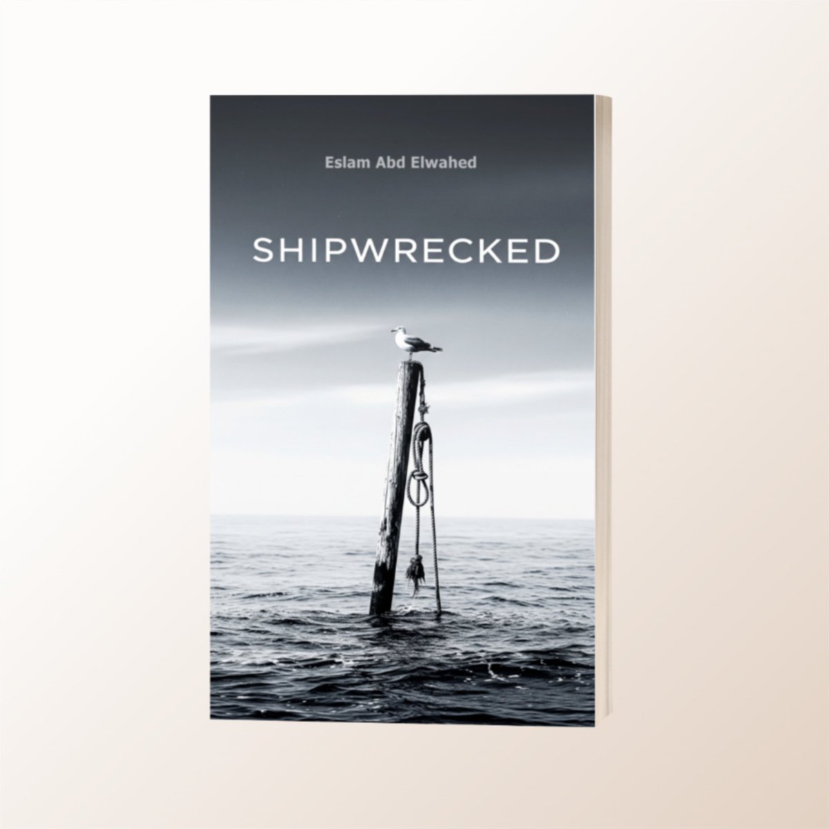 author_eslam's tweet image. They sailed into history… and disappeared beneath the waves.
100 true stories of shipwrecks, lost crews, and haunting final voyages.
The sea never forgets.

amazon.com/dp/B0FJGB6K3P

#Shipwrecked #TrueStories #NonFictionReads #RealLifeEvents #BookRecommendation #MustRead