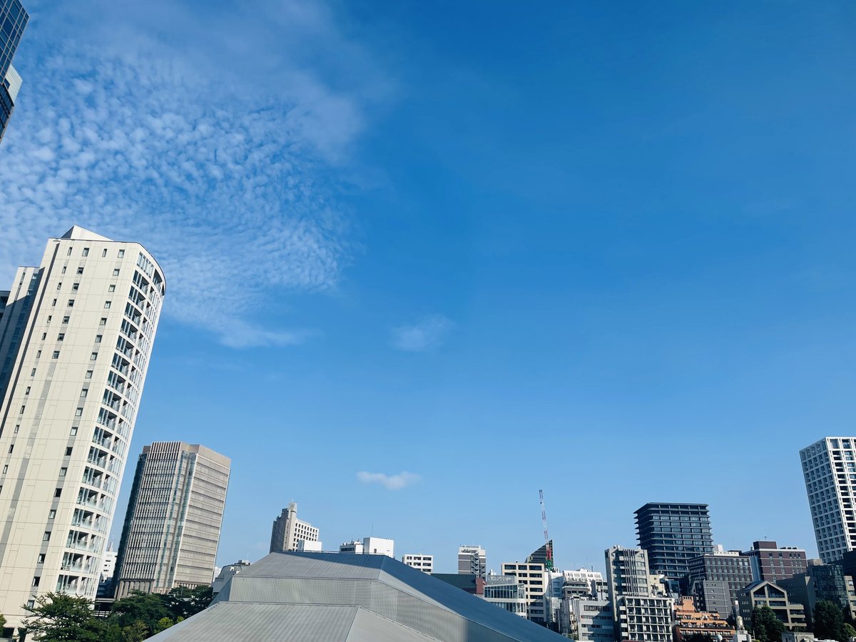 おはようございます。
今日の東京は35℃の予想です。
北海道の札幌は36℃、美瑛町では40℃の予想です🫠
皆さん、暑さ対策を念入りに！！