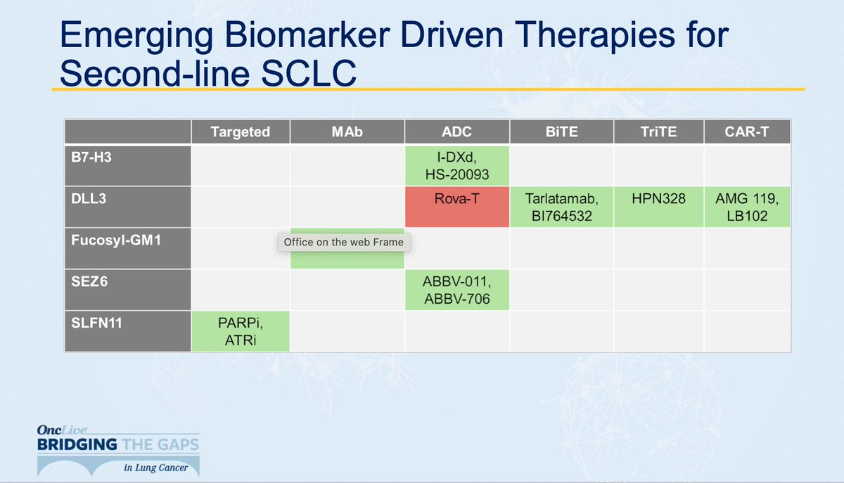 pharma_jonpi's tweet photo. Kicking Off @OncLive Bridging The Gaps in Lung Cancer With Small Cell Lung Cancer -@DrRaviSalgia Reviews Emerging Biomarkers Driving Potential 2L+ Therapeutic Options For Patients With ES-SCLC #BTGLung2025
#pharmamar @US_FDA @EMA_News #jazzpharma #amgen #roche #nasdaq #Imdelltra https://t.co/WRUqQAG1gC
