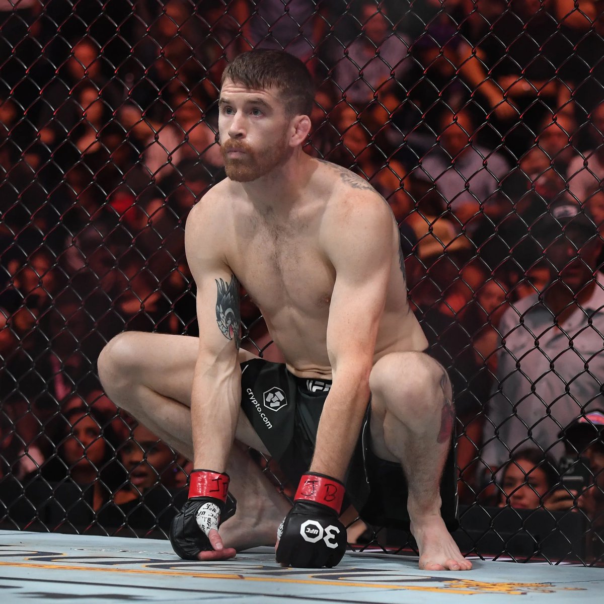 mma_kings's tweet image. Two title fights for #UFC320!
Magomed Ankalaev vs. Alex Pereira 2
Merab Dvalishvili vs. Cory Sandhagen
Plus Jiri Prochazka vs. Khalil Rountree
Oct. 4 in Las Vegas.