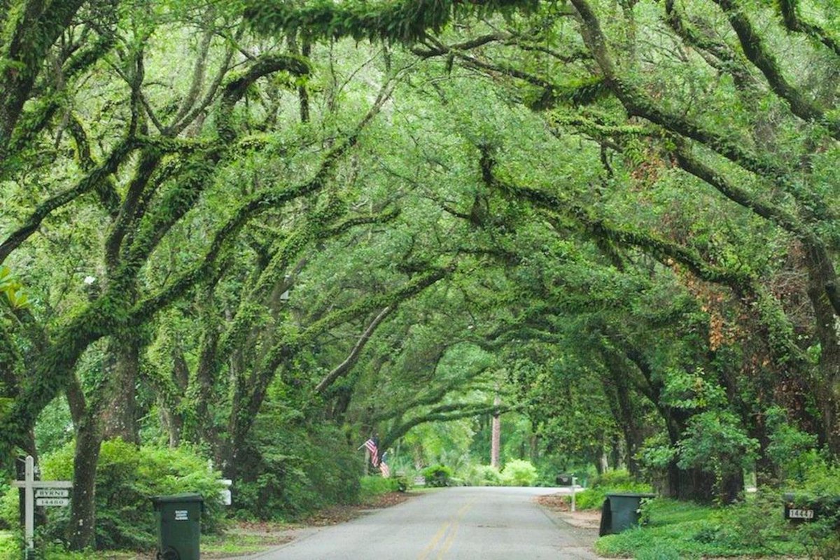 aldotcom's tweet image. Have you ever come across a scene while traveling that is so stunning, you think it can’t possibly be real?
al.com/life/2025/07/1…