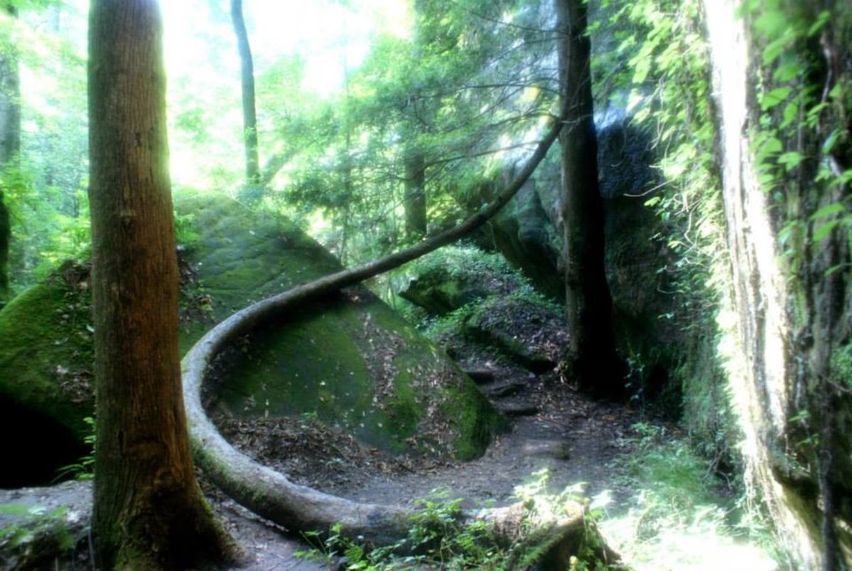 aldotcom's tweet image. Have you ever come across a scene while traveling that is so stunning, you think it can’t possibly be real?
al.com/life/2025/07/1…