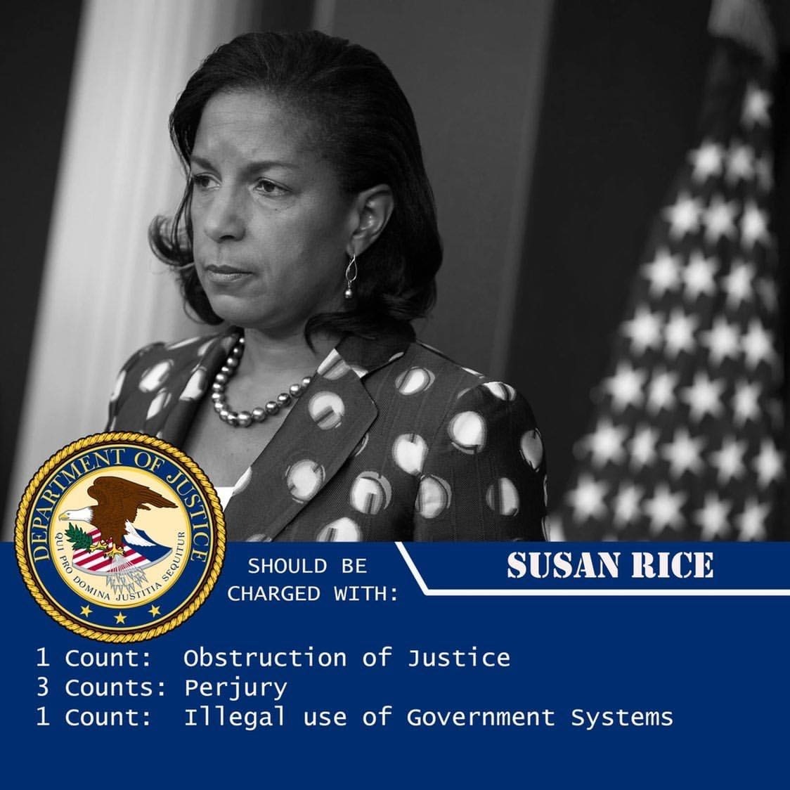 Who wants to see Susan Rice arrested ?