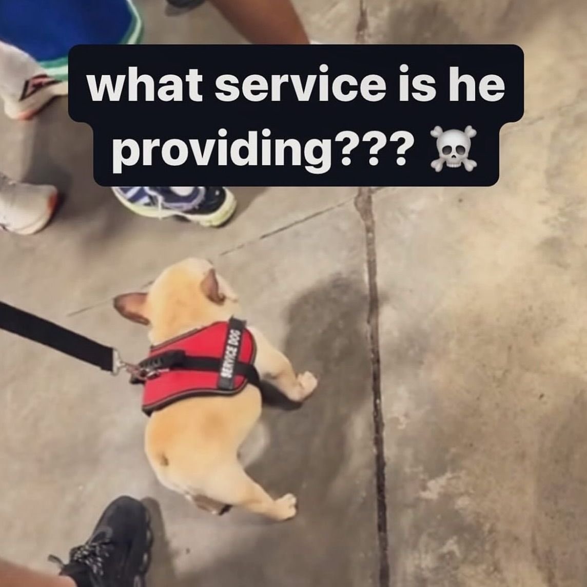 Fuck it, why not!

Mutuals, reccomend a character for my bullshit twitter object show (u don’t have to be a object show fan) and what you wanna be credited as for the character (if you don’t put anything, I’ll just default to ur @ I guess) 

(Image is just here to boost the post)