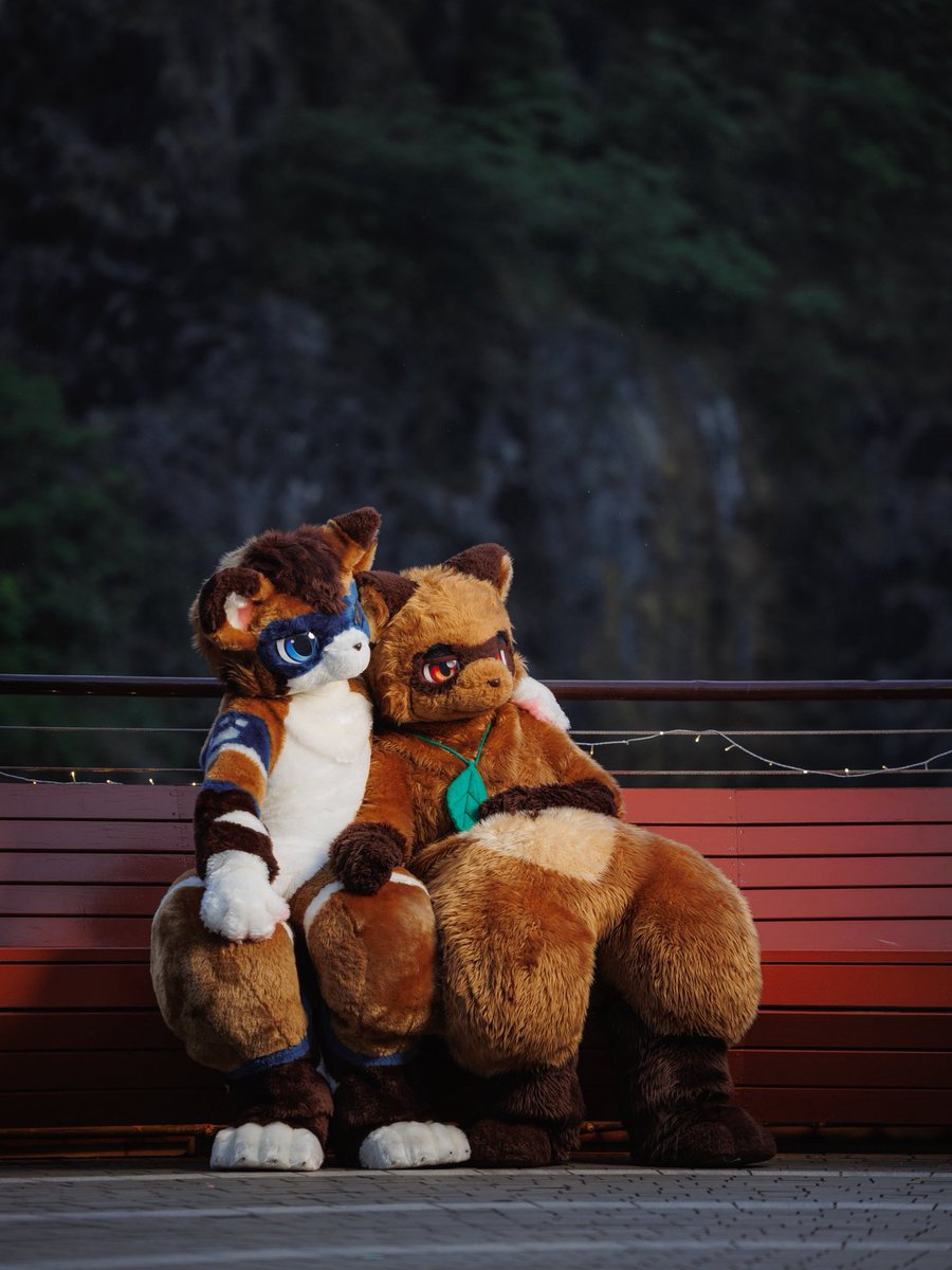 900天！

Photo / <a href="/raimeiramen/">脏毛小狗</a> 
#团吉