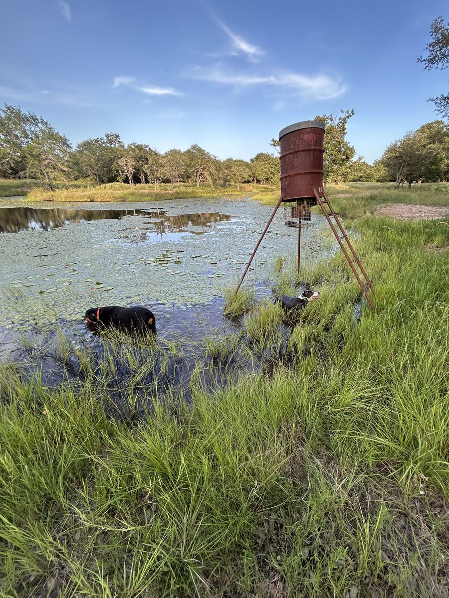 Rachel Gamble tweet media