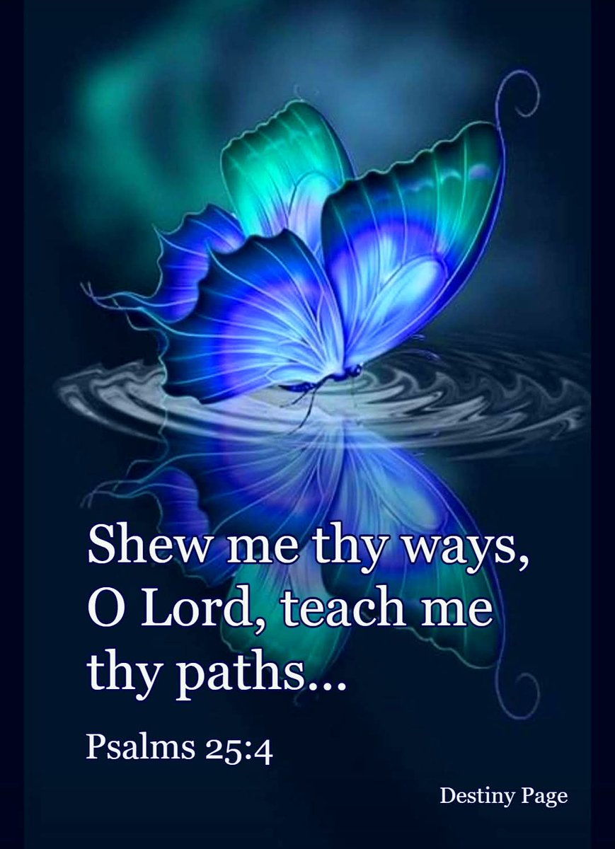 Stewart7Donna's tweet image. The LORD leads us in the paths of righteousness for His name's sake. Ps23:3b